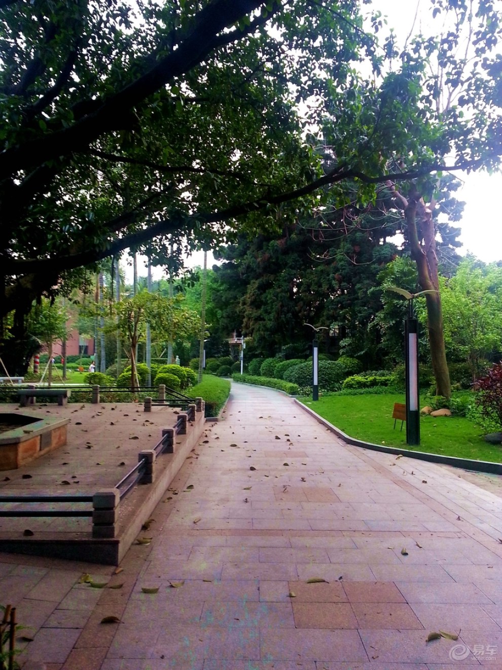 活力的青年公园