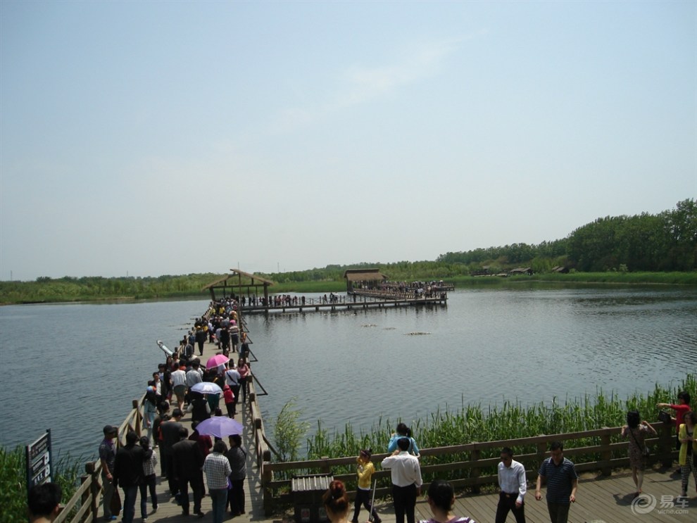 【上海長安車友會】泰州溱湖國家溼地公園一遊