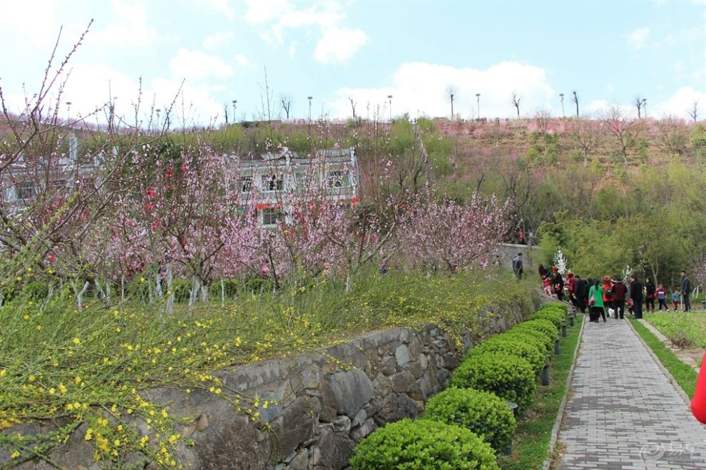 2016【春回大地】丹鳳竹林關古鎮桃花谷看桃花