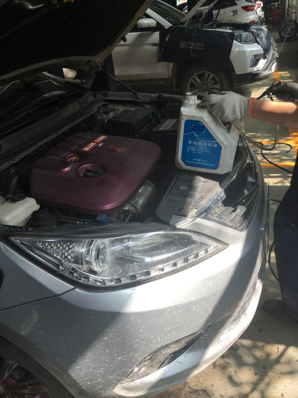 长安家族】我家逸动第11次保养纪实(图多)】_逸动社区图片集锦_汽车