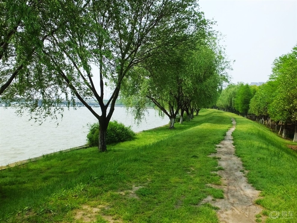 【无锡cs35车友会】锡北运河湿地随拍