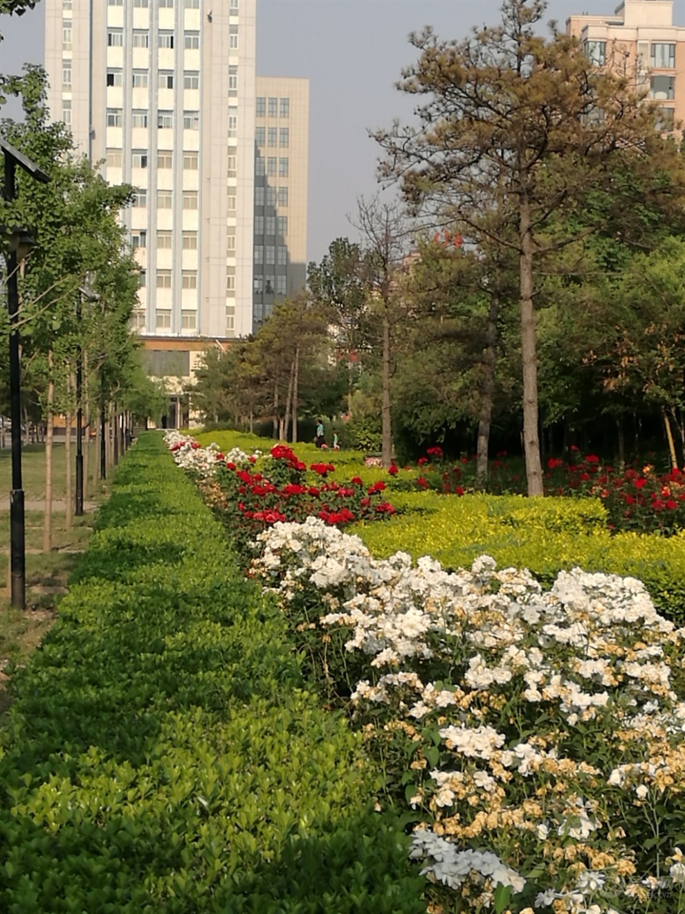 侯马市民公园见闻