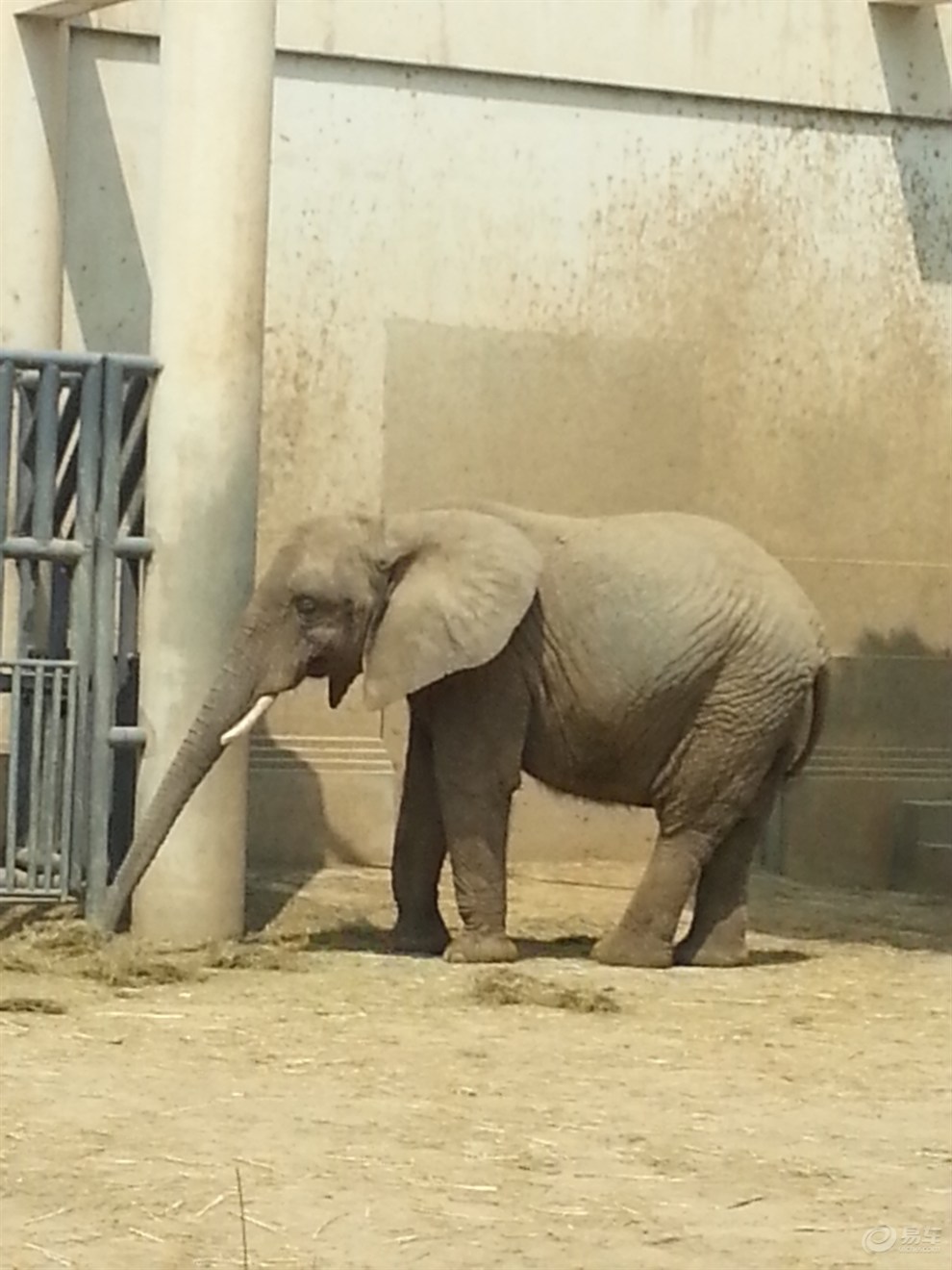 北京動物園