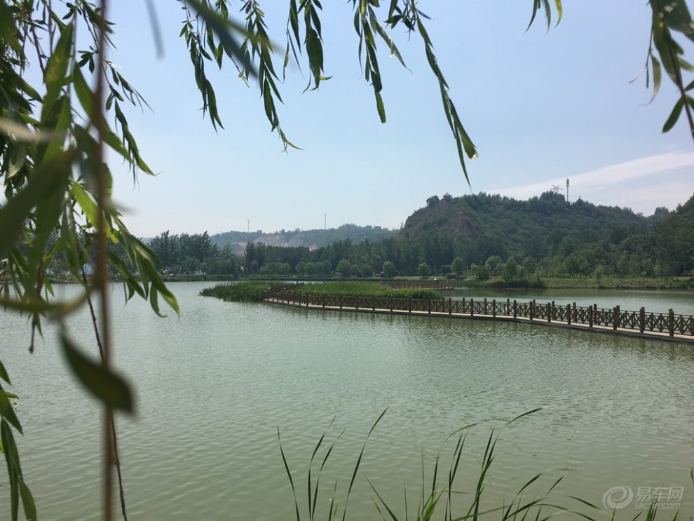 夏日的黃河公園