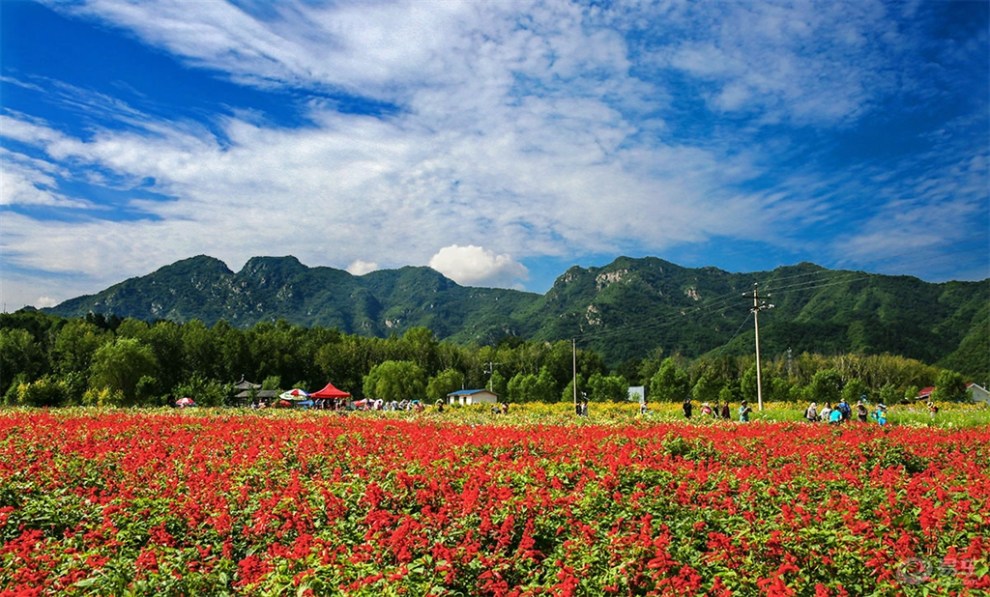 北京四季花海风光