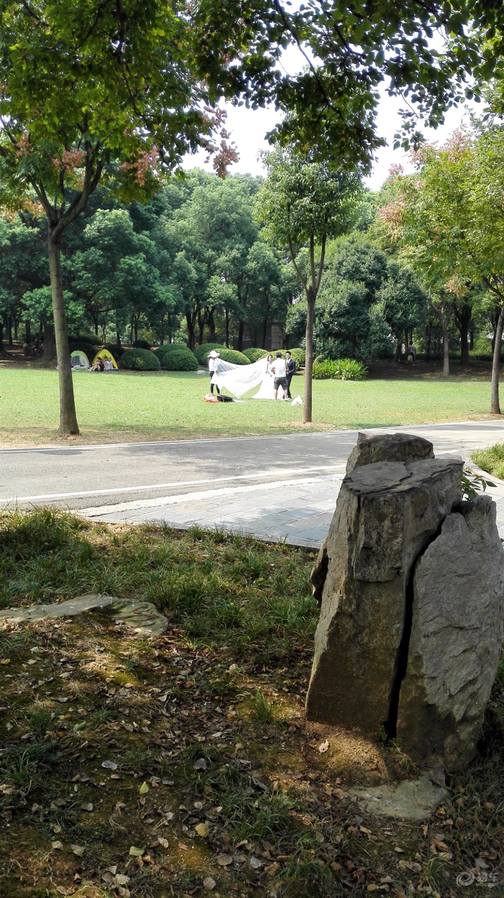 【精华大比拼】绿道上的小碧池