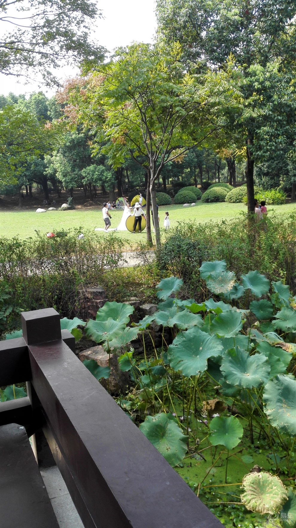 【精华大比拼】绿道上的小碧池