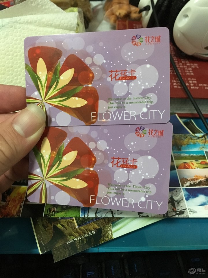 云南六天五夜游之昆明花之城