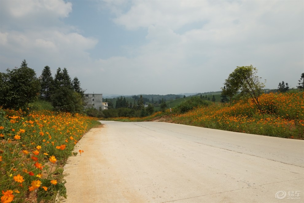 乡村路风景