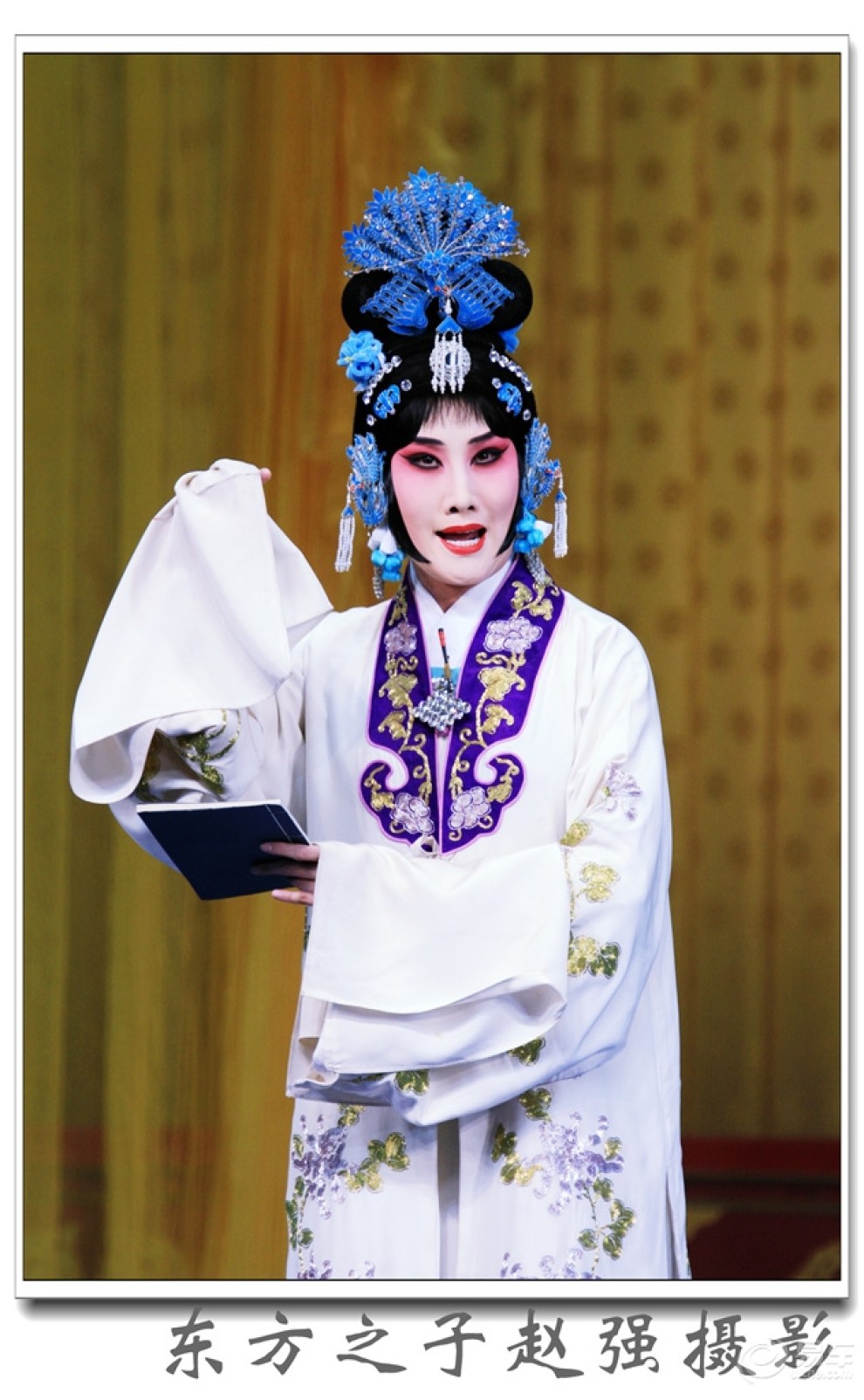【天津京剧院在天津滨湖剧院演京剧《望江亭》主演:赵芳媛】_天津社区