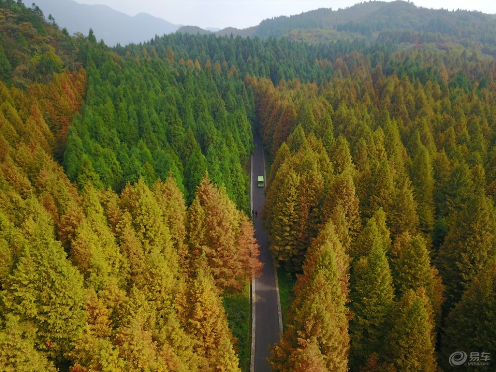 南川山王坪的秋天图片