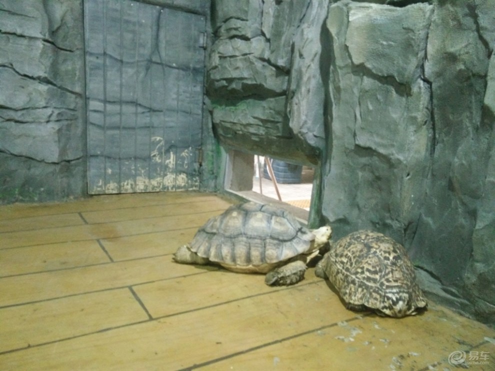 【石家莊cs35車友會】約朋友們帶孩子一遊覽石家莊動物園