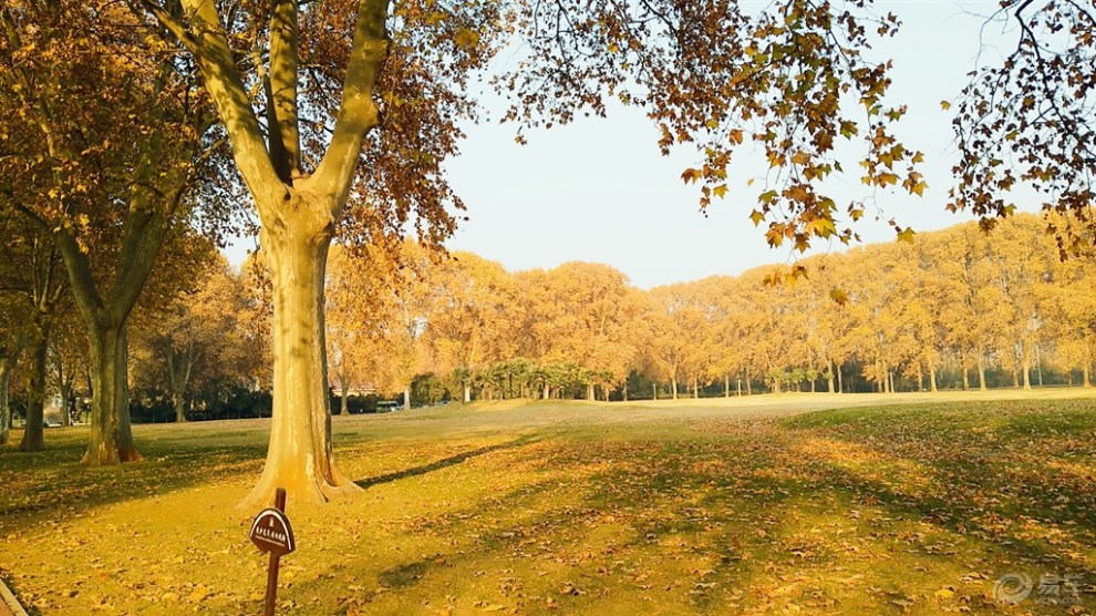 晚秋风中的小雷