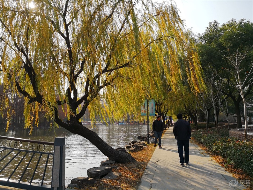 【崑山cs75官方車友會】游上海泗涇公園-依然生香的秋色