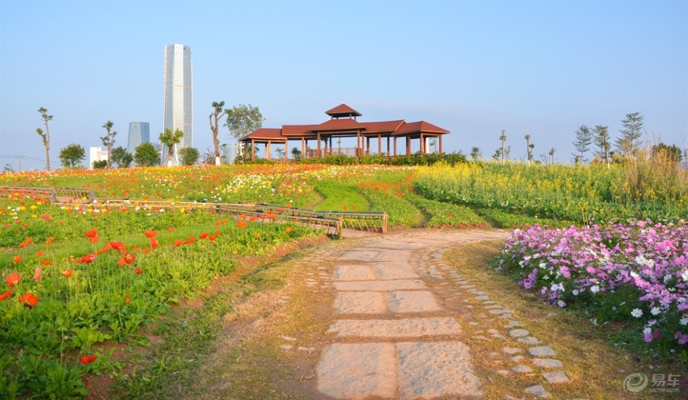 【春之寄语】初春厦门后田海滩园博园日出