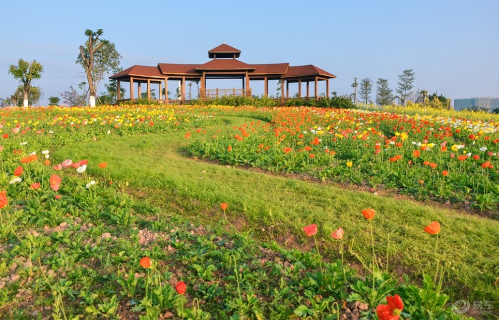 【春之寄语】初春厦门后田海滩园博园日出