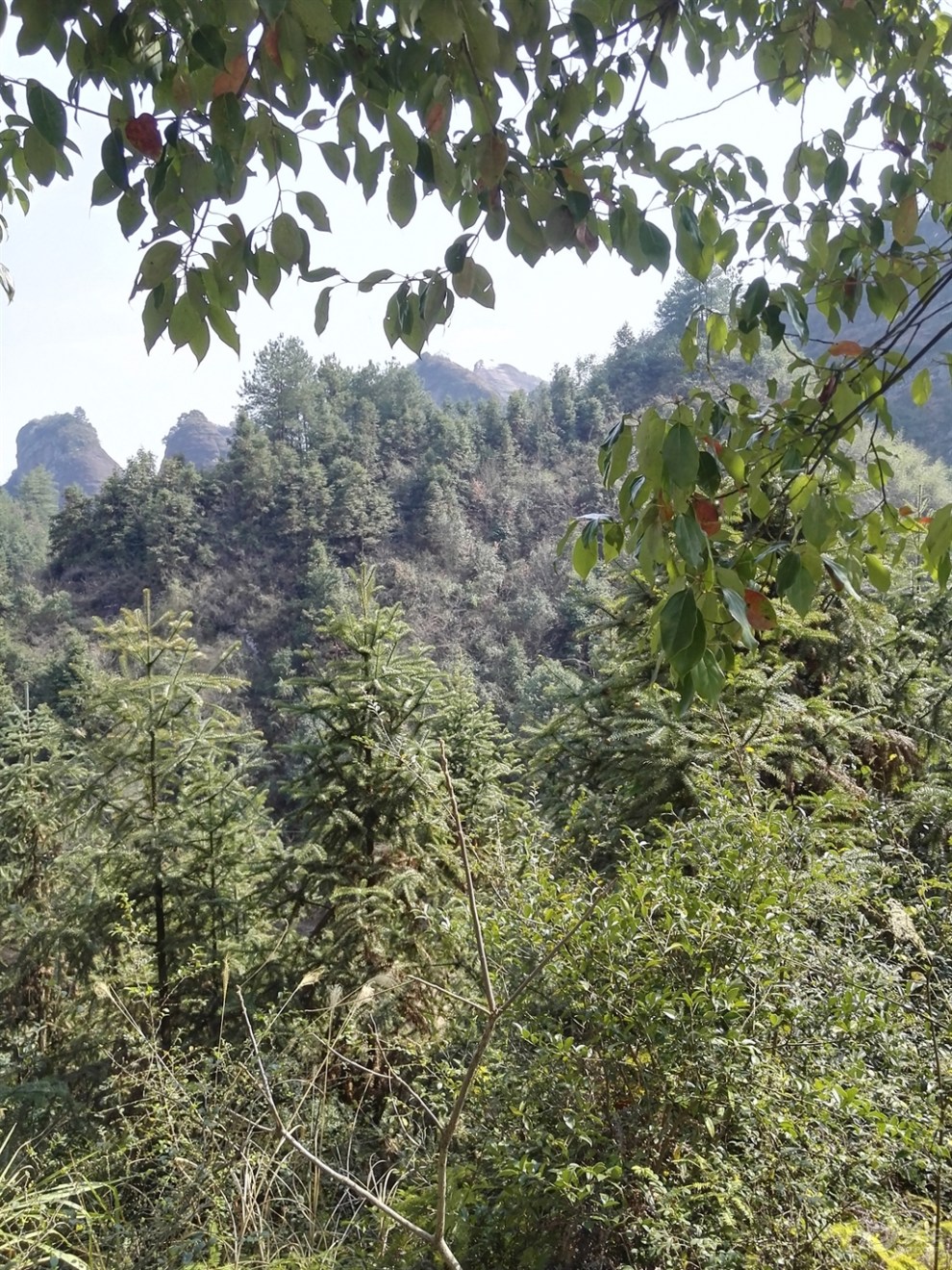 【长沙cs75车友会】372 车友会仙姑岩长寿谷红军营探险上