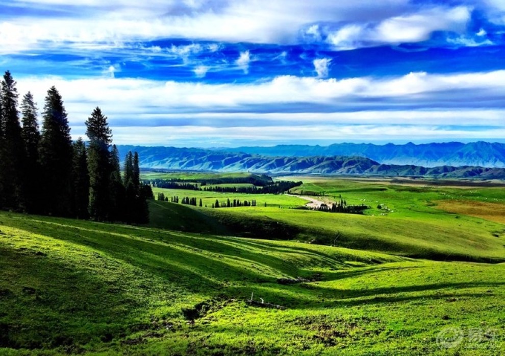 伊犁河谷大草原自驾美图