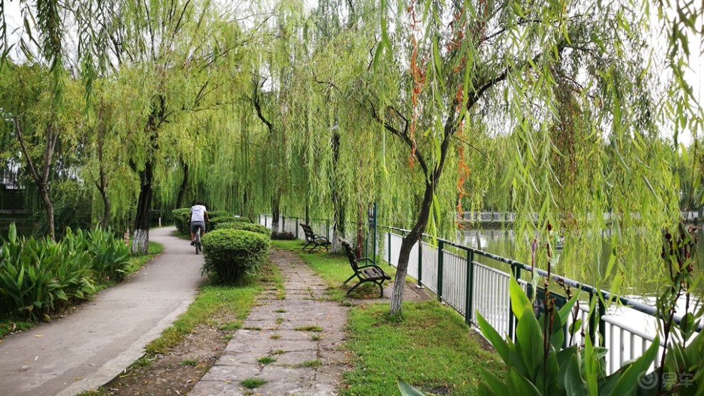 【四川长安suv联盟】小五带我一起游览金雁公园