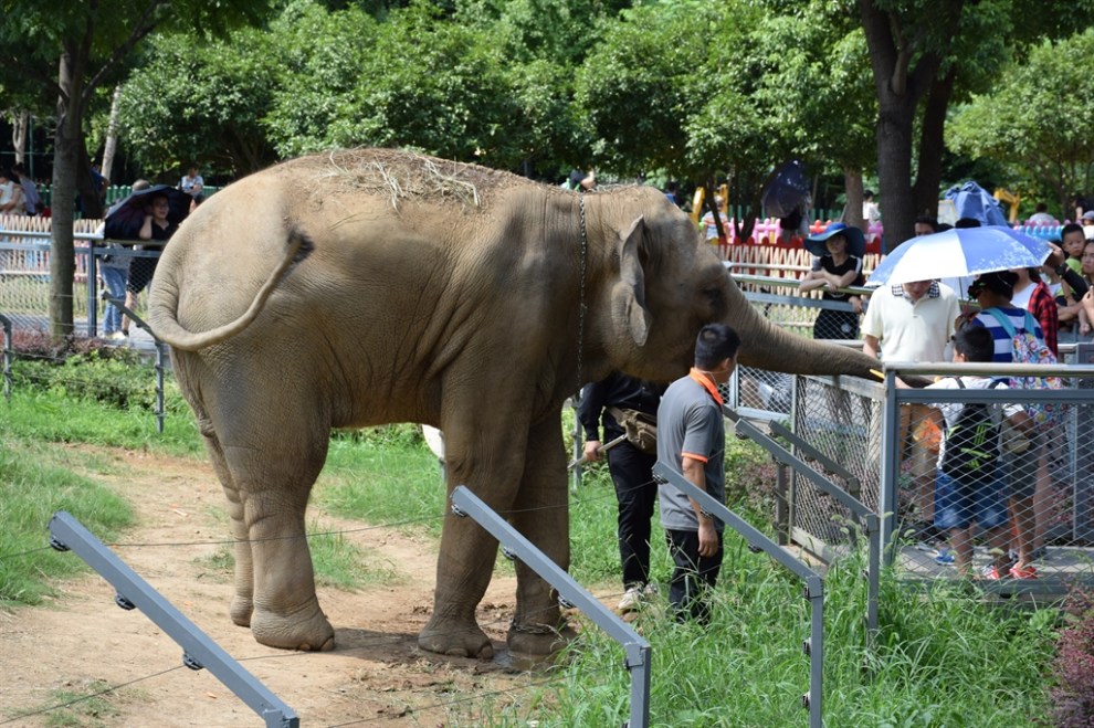 【無錫長安suv聯盟】092歡樂國慶之暢遊無錫動物園