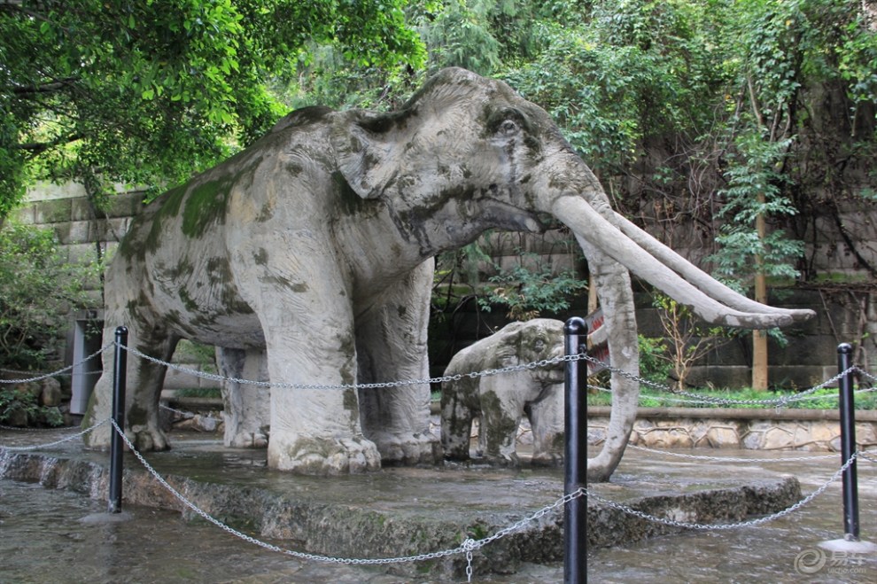 【游记】夔门古象馆