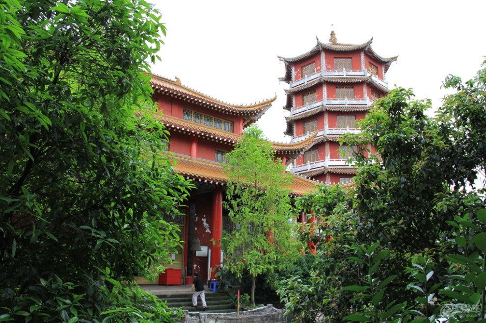 【游记】弥陀禅院(二)