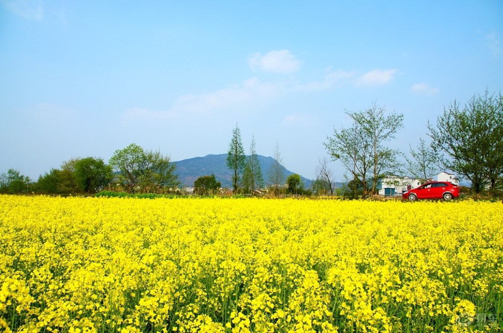 【支持山西社区】春天来了,一起踏春去