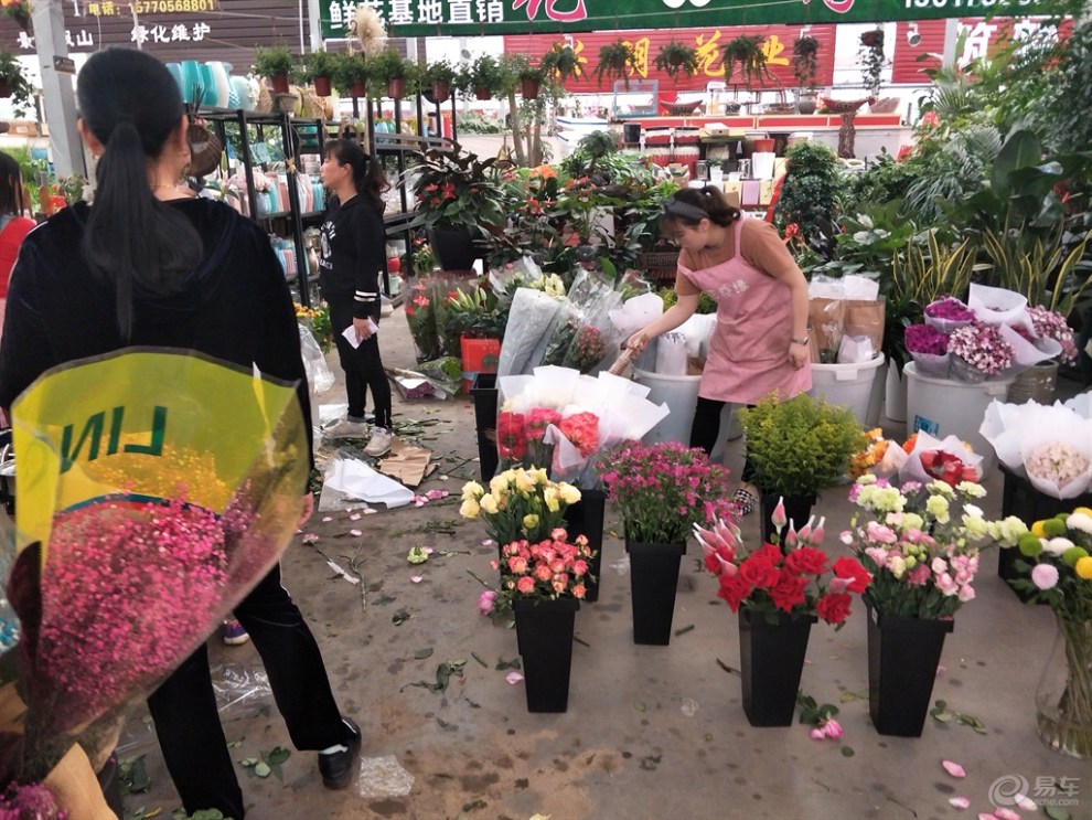长安花卉市场批发图片