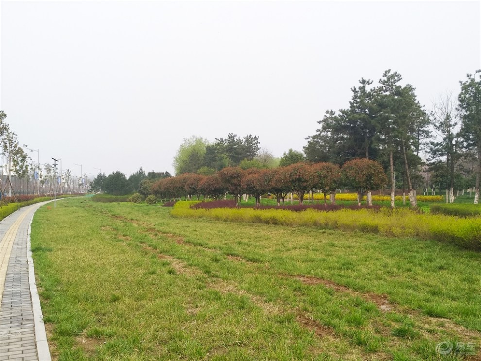 【西安長安車友會】陽春三月洨河生態公園踏青