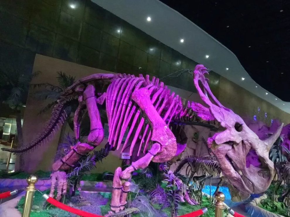 游潍坊恐龙文化旅游区
