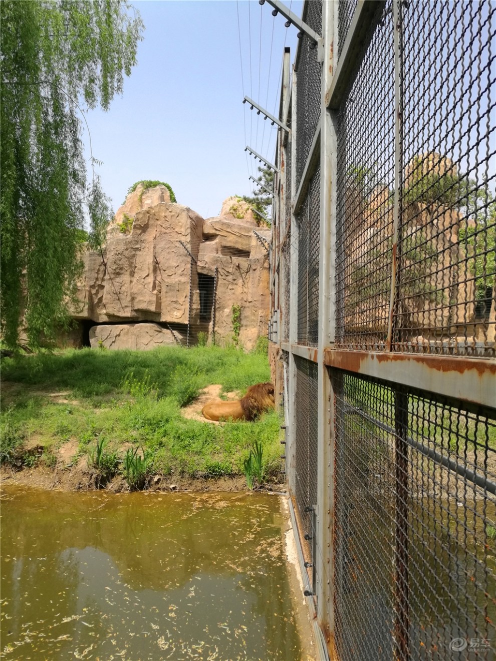 【全家總動員】與小白同遊臨沂動植物園