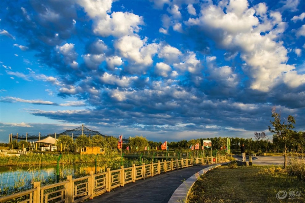 阿尔山向海湿地百鸟园