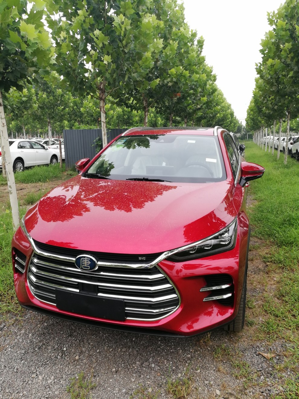 【赤帝红】_唐社区图片集锦_汽车论坛-易车网