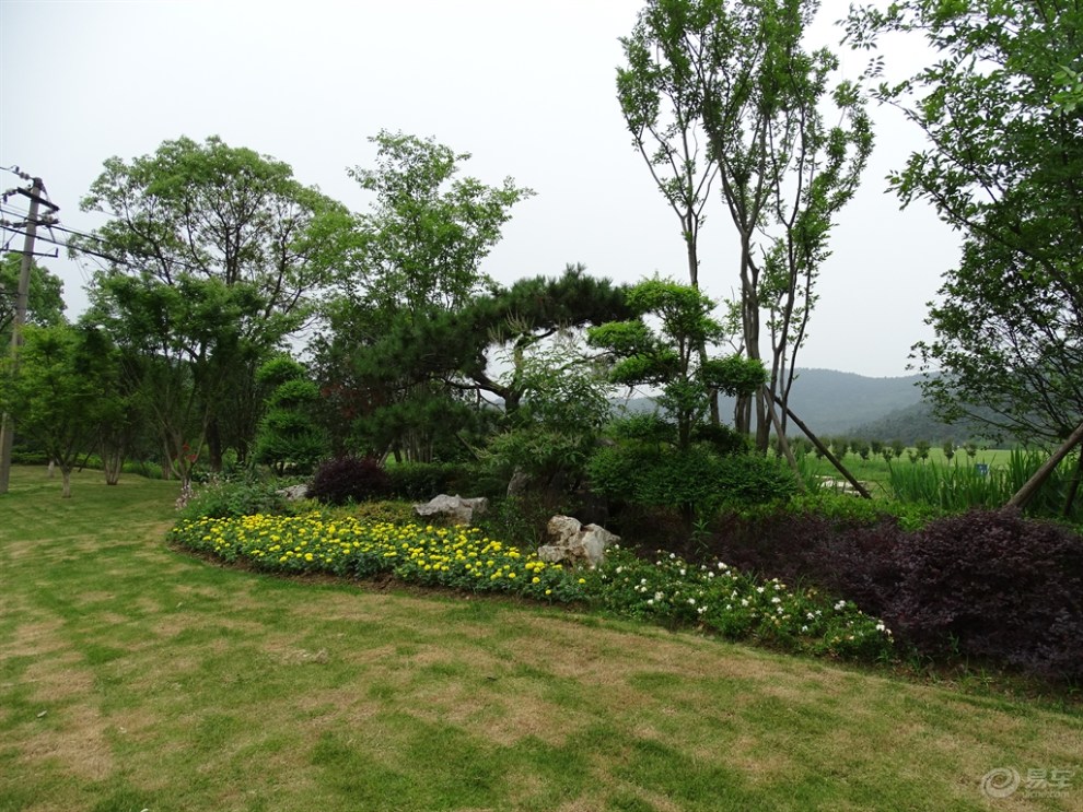 在路上#【无锡长安suv联盟】欣赏太湖湾海棠园的美