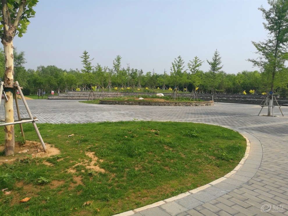 【北京劲悦团车友会】cs15自驾马坡千亩森林公园