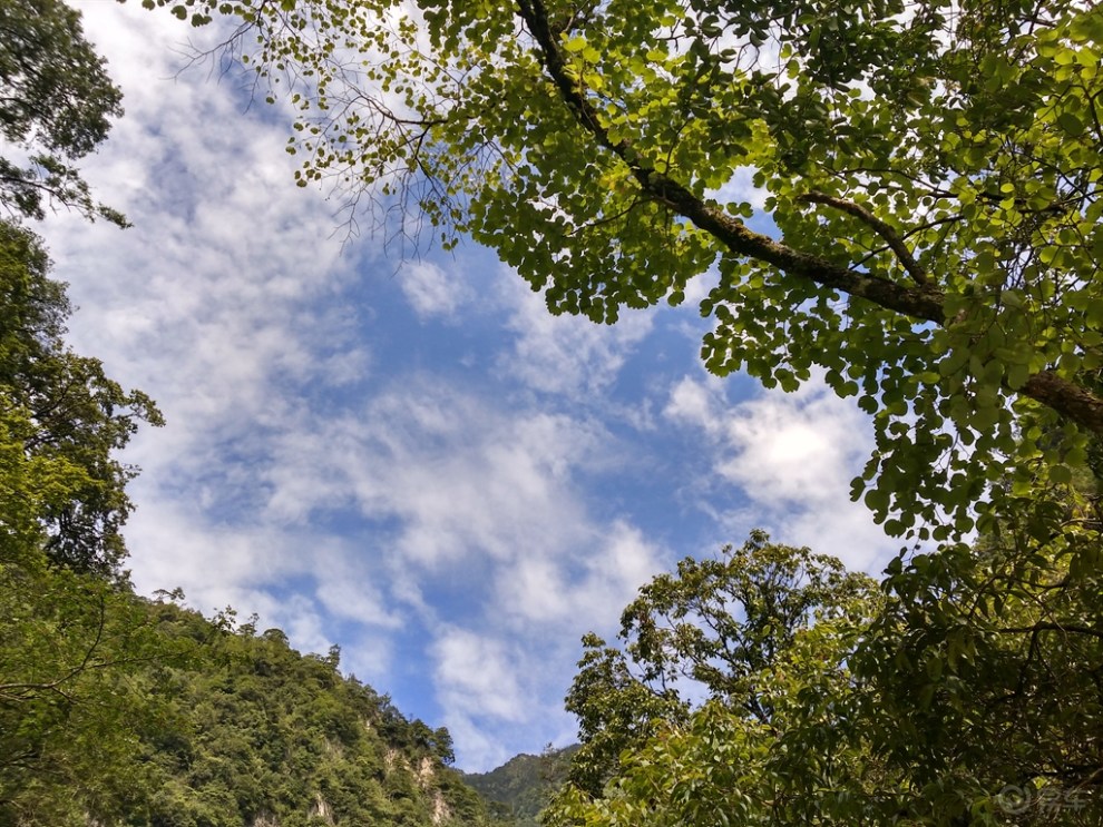 【四川長安suv聯盟】炎炎夏日,遊美麗的東拉山大峽谷!