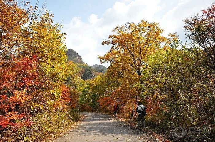 【自駕達人】夏令營深度自駕--恆本公路中國紅葉之都