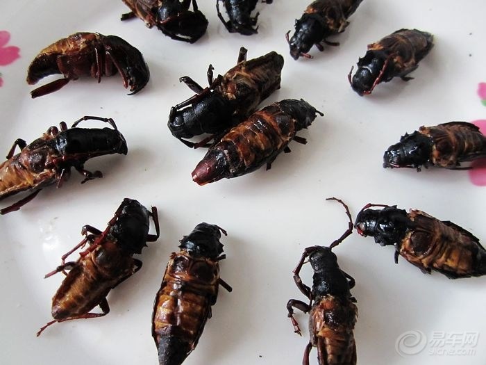 【今天晚上吃什么】炸山水牛